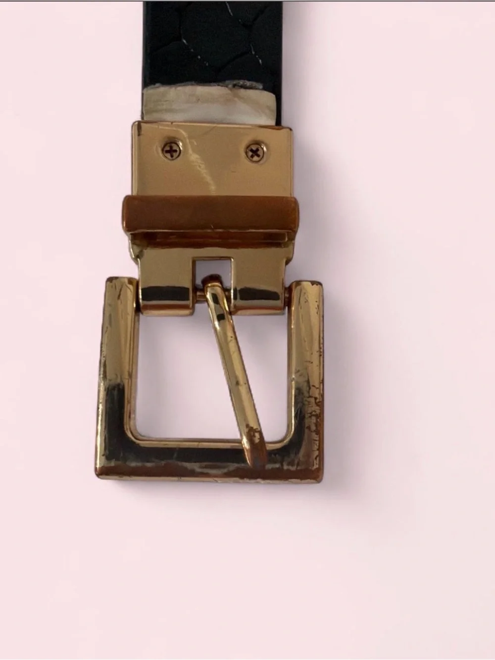 Express Black Belt with Gold Buckle and Leopard Lining
